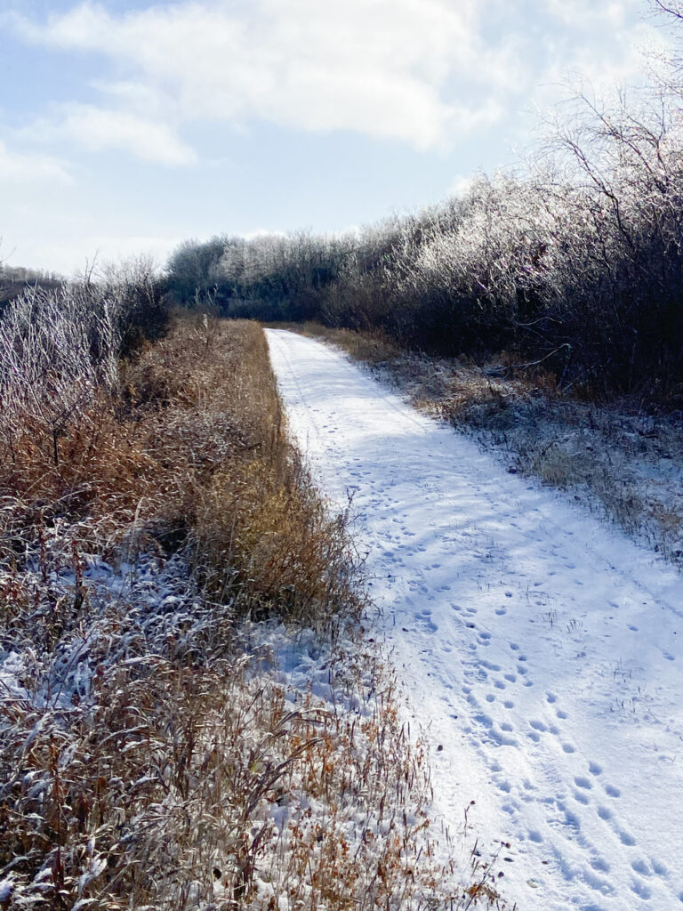 Rossburn Subdivision Trail in winter